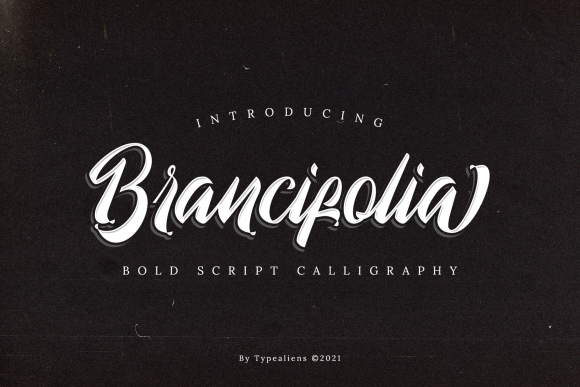 Brancifolia: A Bold Script Font for Handmade Branding