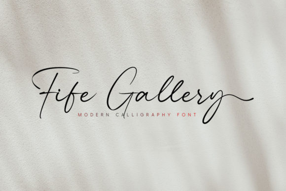 Fife Gallery: A Stylish Script Font for Digital Branding