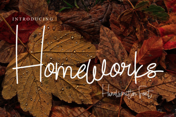 Homeworks: A Delicate Script Handwritten Font for Editorial Calm