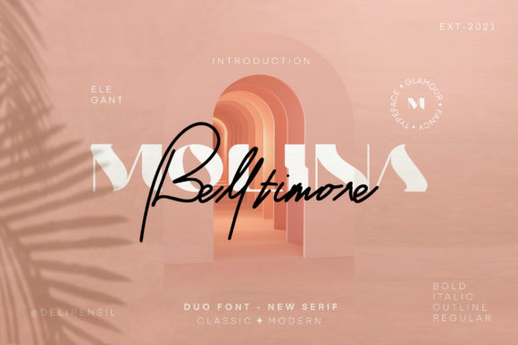 Molina Font: A Cool Yet Elegant Duo Serif and Script Typeface