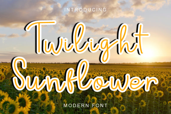Twilight Sunflower: A Thin Script Font That Elevates Campaign Visuals